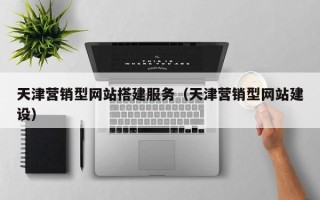 百色天津营销型网站搭建服务（天津营销型网站建设）