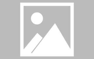 百色搭建外贸网站货到付款（外贸付款平台）