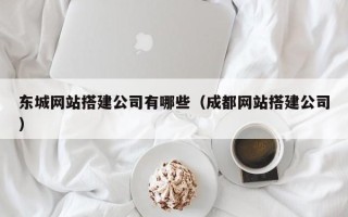 百色东城网站搭建公司有哪些（成都网站搭建公司）